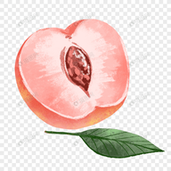 蜜桃网站图片